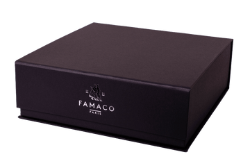 Shoe Shine Kit – Home Closet or Business Office Gift by Famaco France - ValentinoGaremi