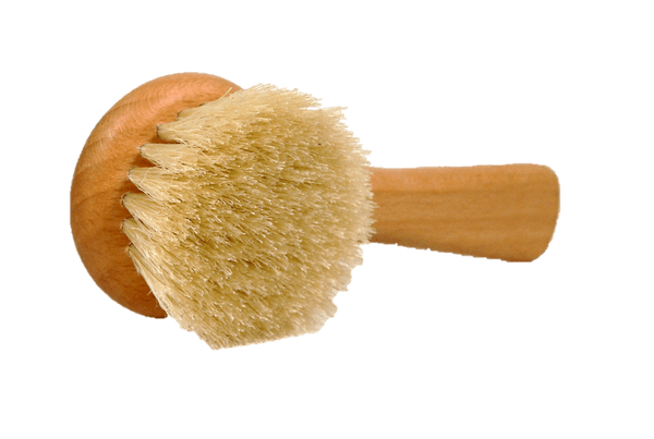 PNG9b_Valentino_Garemi_Mushroom_Cleaning_Brush_Boar_Bristle_Beechwood_2531f81e-780d-4d4a-a52c-5cc4afa4d55e.png