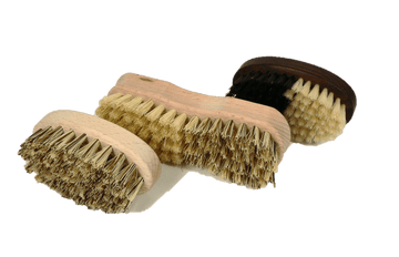 Kitchen Cleaning Brushes for Veggies Fruits & Clam by Valentino Garemi - ValentinoGaremi